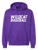WILDCAT BASEBALL HOODIE