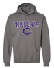 WILDCATS C HOODIE