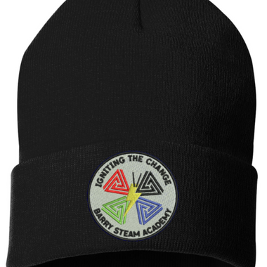 Barry Steam Academy Beanie