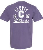 CMS EST. 1907 COMFORT COLORS T-SHIRT